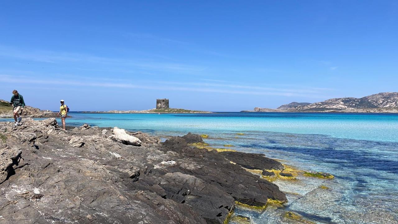 I Pescatori Di Stelle-L12 Altair Villa Stintino Eksteriør billede