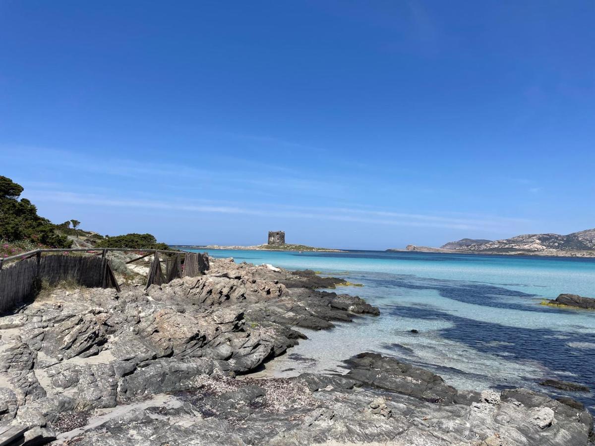 I Pescatori Di Stelle-L12 Altair Villa Stintino Eksteriør billede