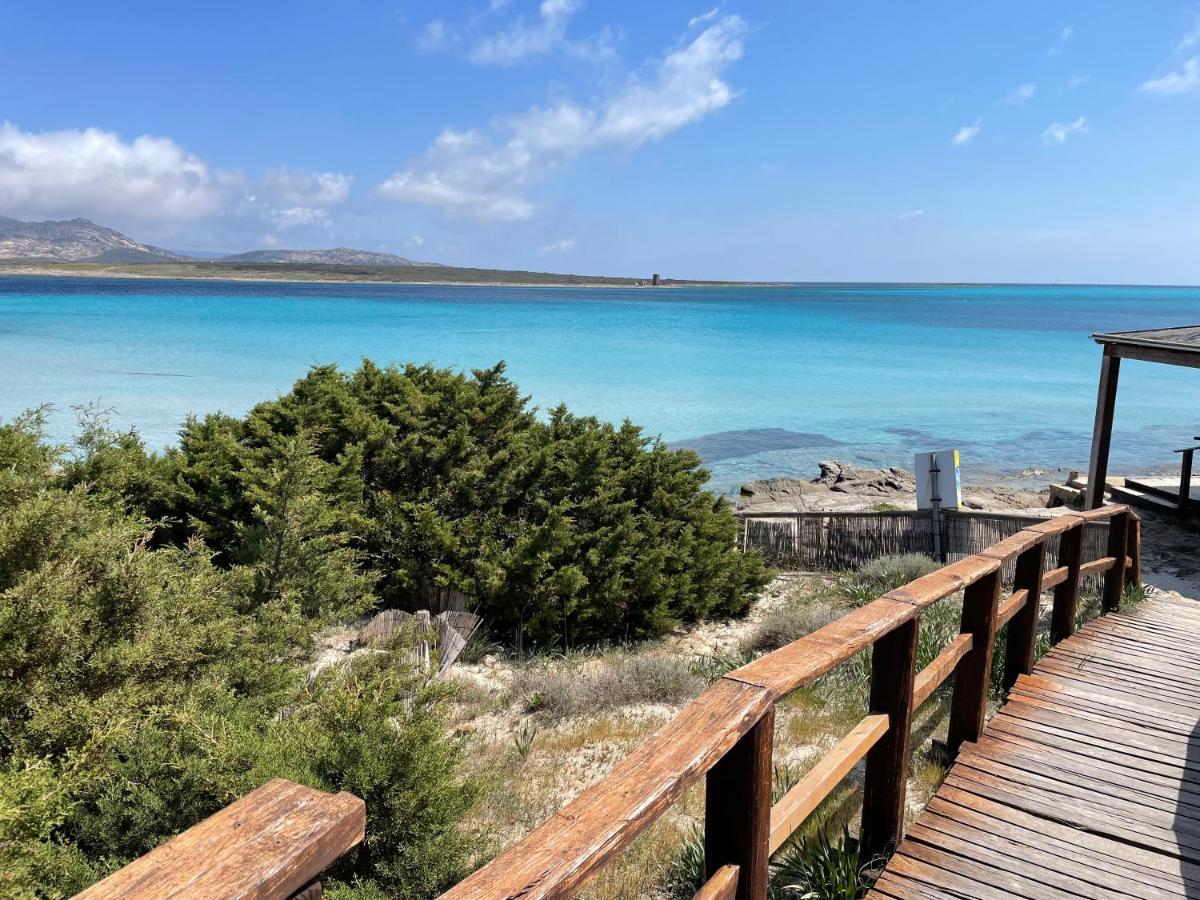 I Pescatori Di Stelle-L12 Altair Villa Stintino Eksteriør billede