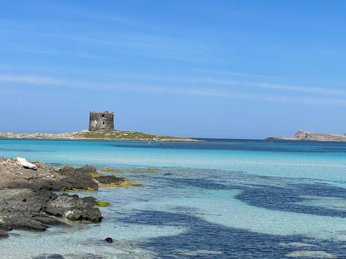 I Pescatori Di Stelle-L12 Altair Villa Stintino Eksteriør billede