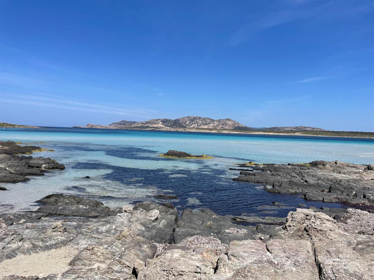 I Pescatori Di Stelle-L12 Altair Villa Stintino Eksteriør billede